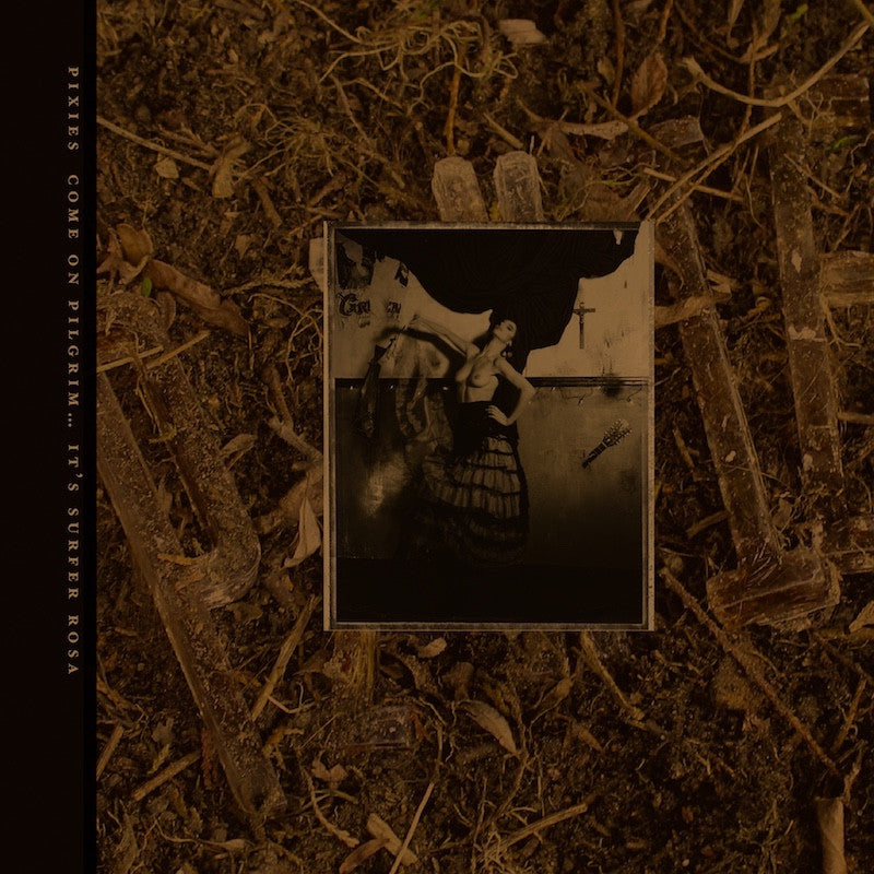 Come On Pilgrim... It's Surfer Rosa: 30th Anniversary (GOLD VINYL) | Mint (M) Mint (M)