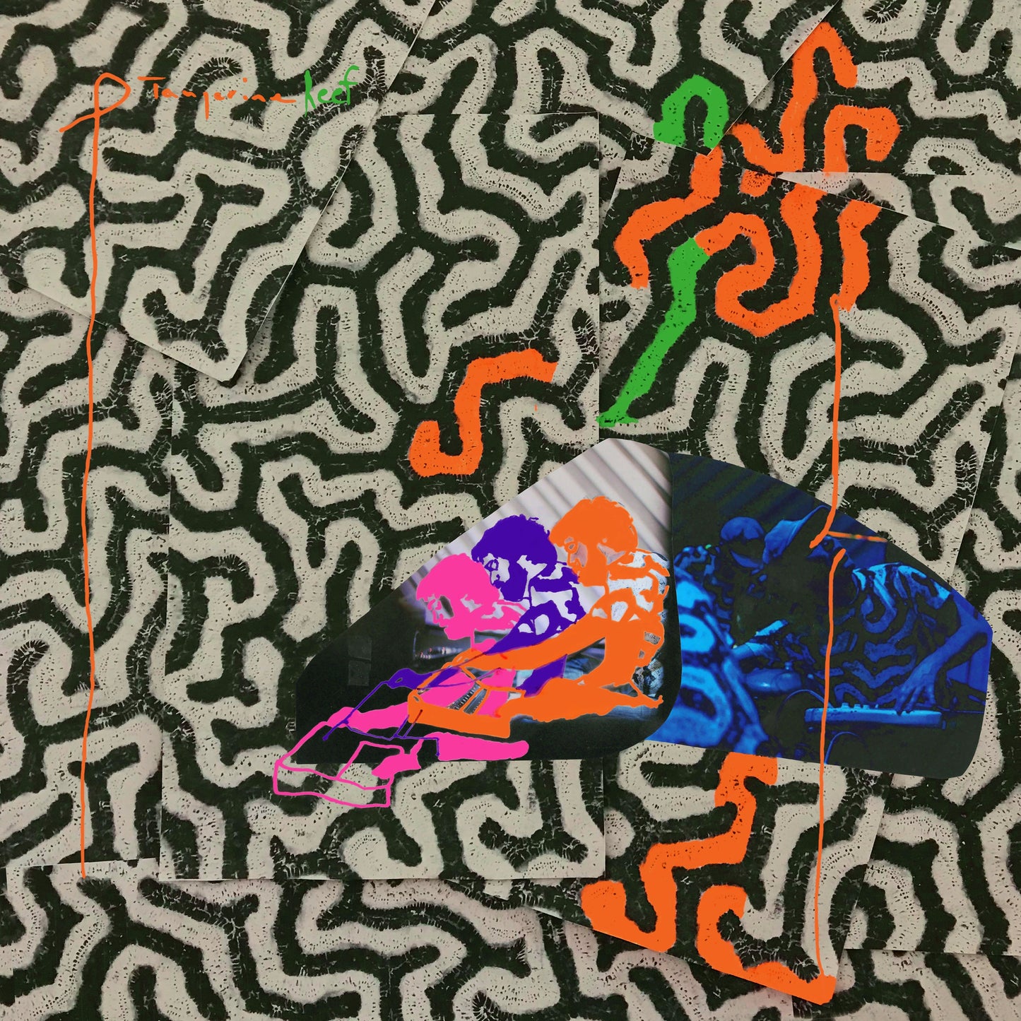 Tangerine Reef |