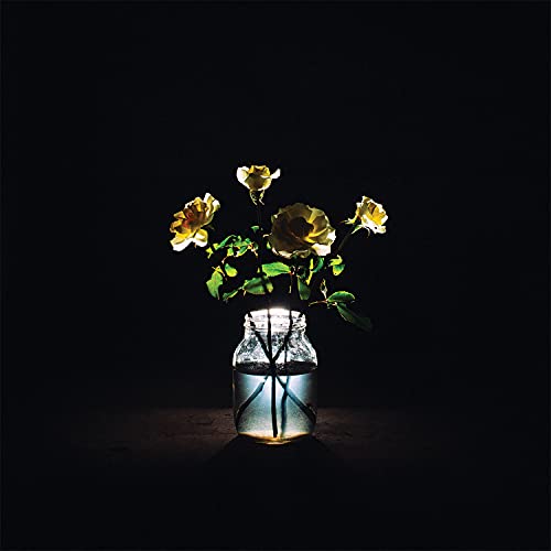 Renewal (180 Gram Vinyl) (2x VINYL) | Mint (M) Mint (M)