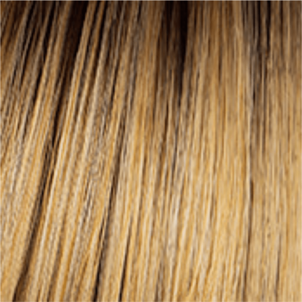 CLASSIC FLING WIG By Hairdo