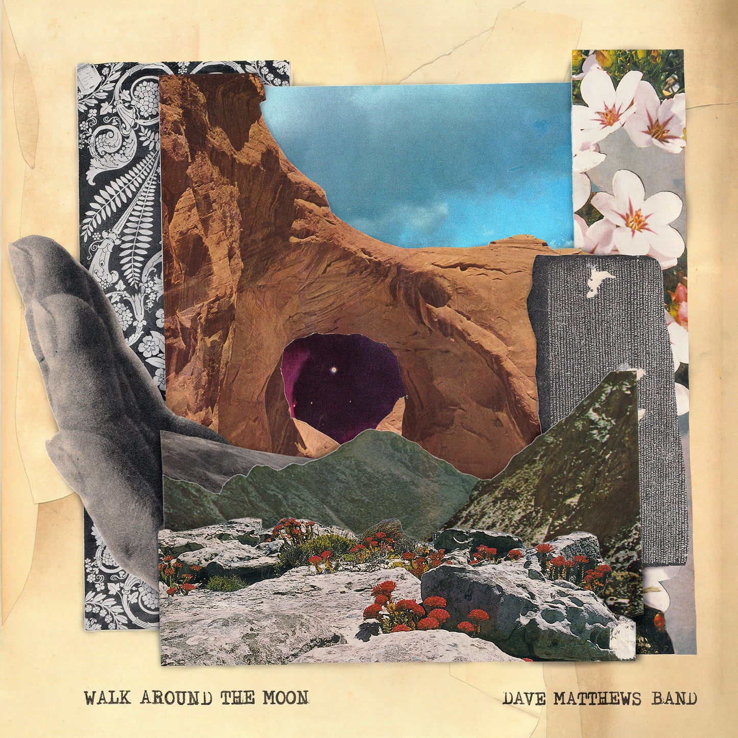 Walk Around The Moon (Wide Vinyl, Black) | Mint (M) Mint (M)