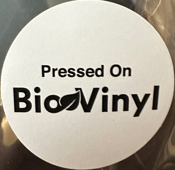Windowlicker (VINYL) |
