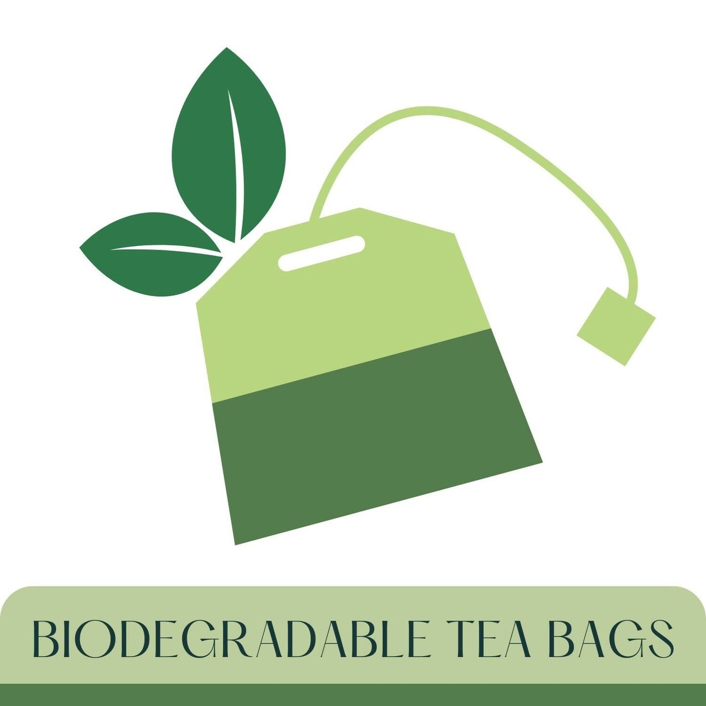 Satvi Wellness Barley Ginger Tea | Barley Seed With Ginger Herbal Tea
