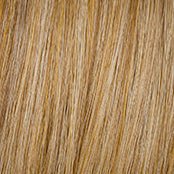 Hairdo NEW! CLIP ON POUF