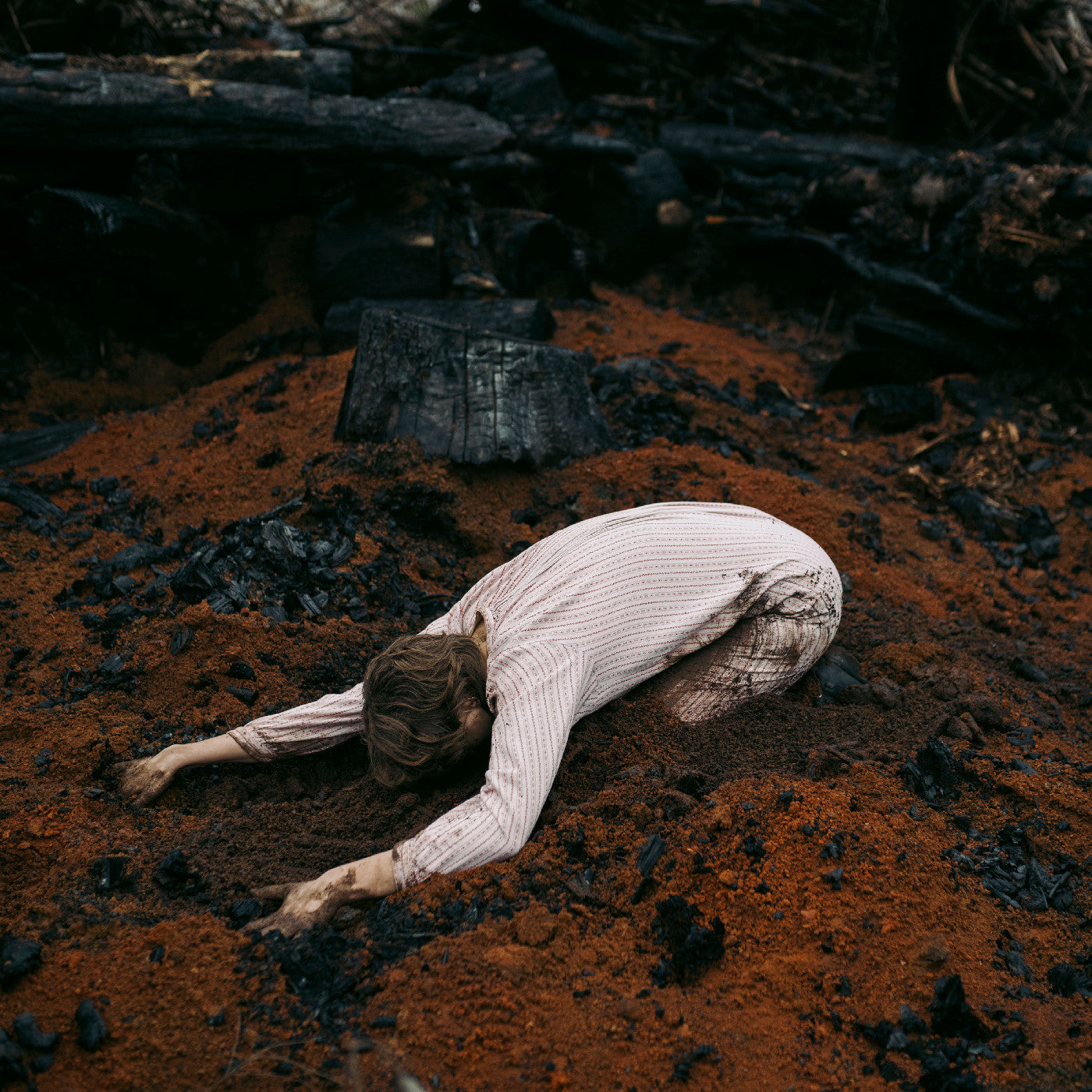 Keeper Of The Shepherd (Birch White VINYL) | Mint (M) Mint (M)