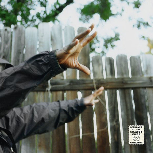 Madvillainy 2: The Madlib Remix | Mint (M) Mint (M)