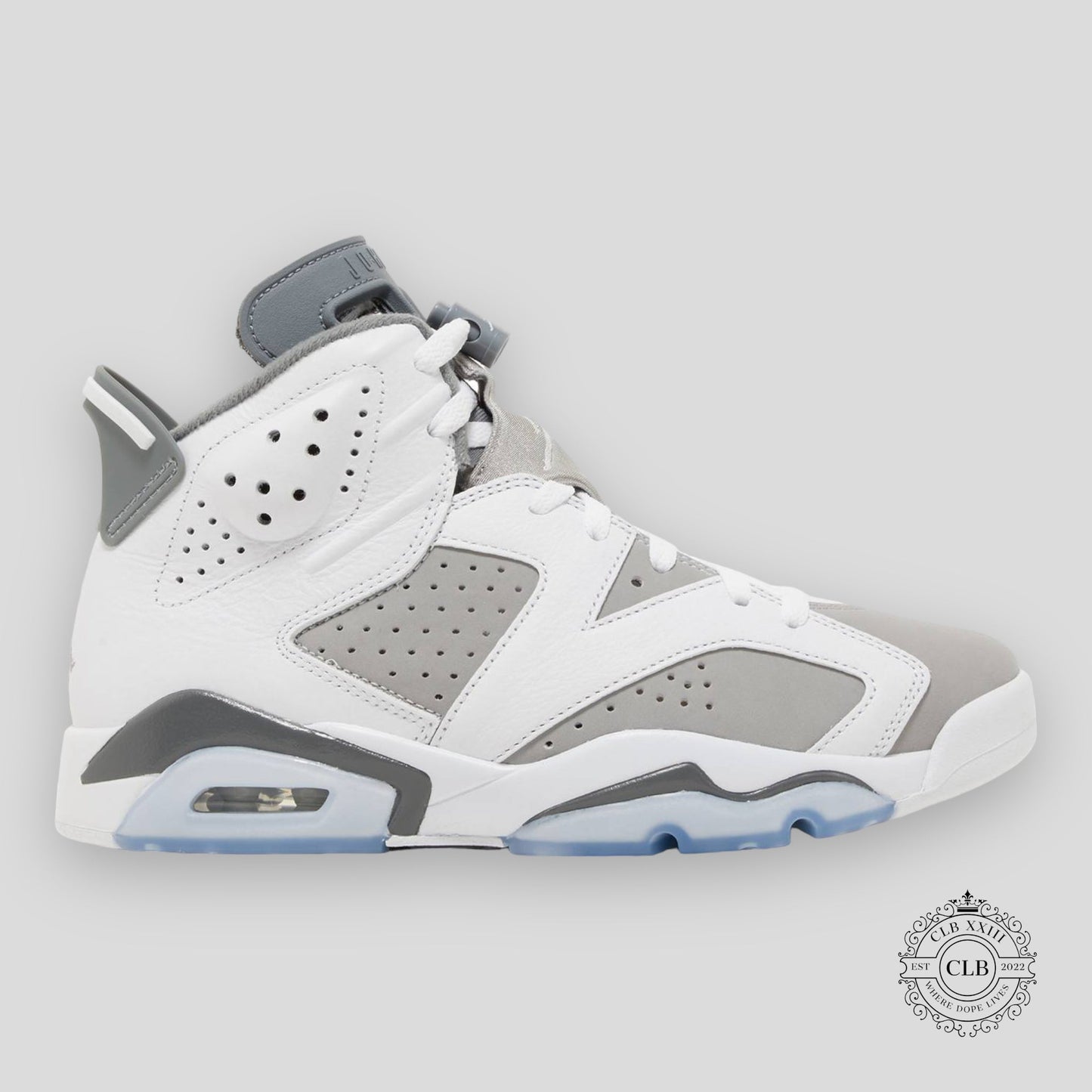 AIR JORDAN 6 RETRO "COOL GREY"