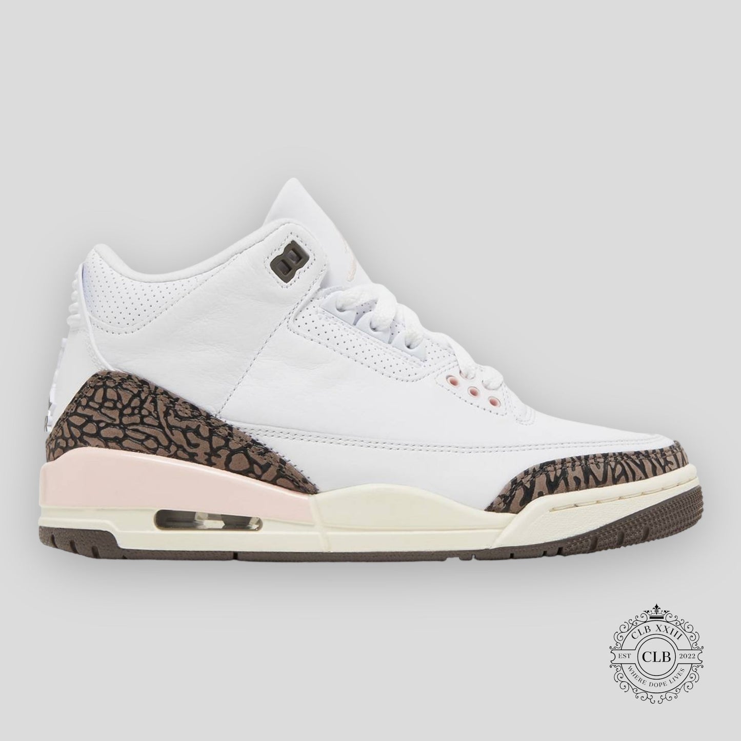 AIR JORDAN 3 RETRO (W) "NEAPOLITAN"