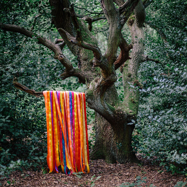 The Animal Spirits |