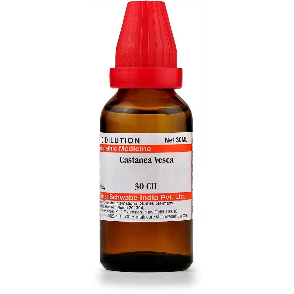 Dr. Willmar Schwabe India Castanea Vesca Dilution