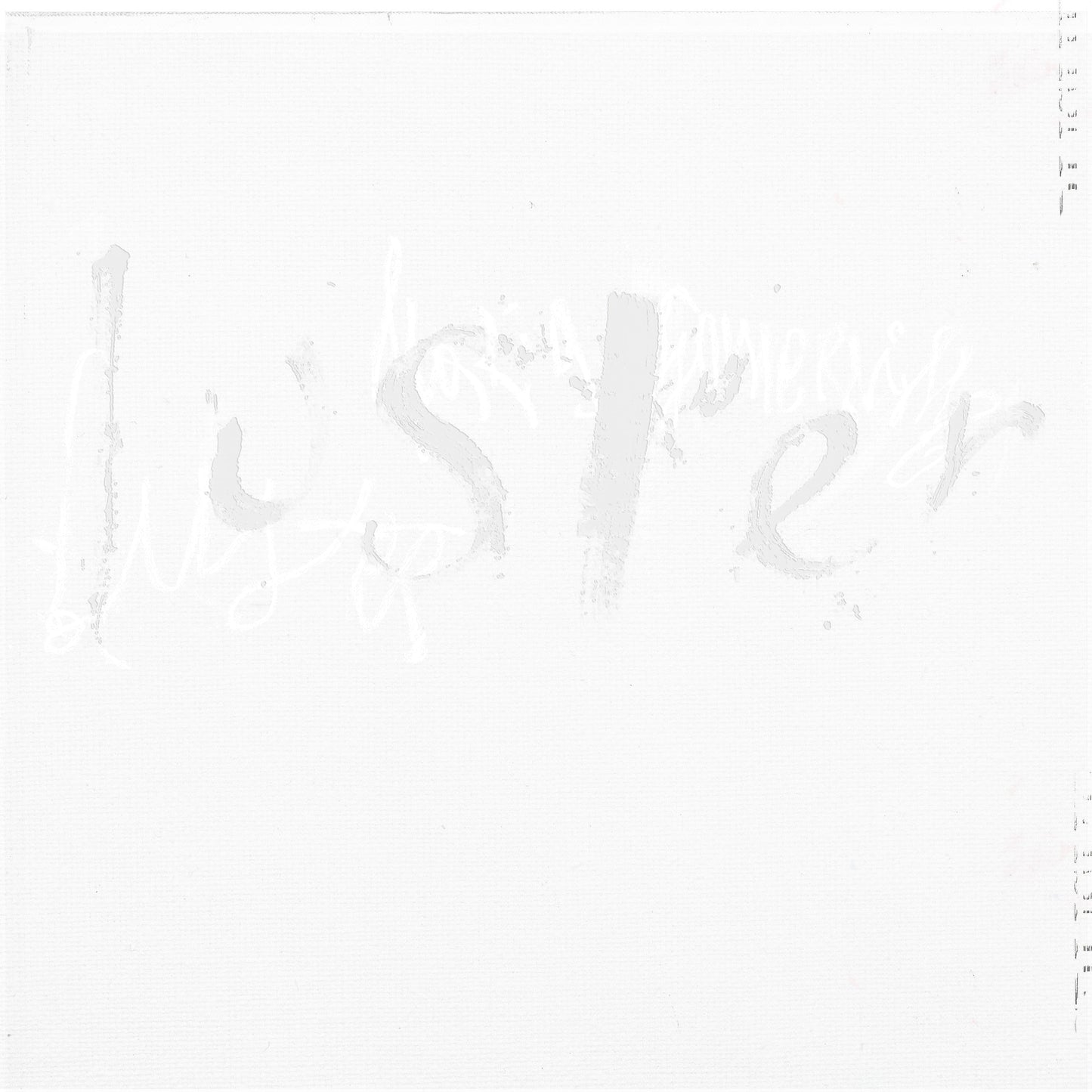 Luster (CD) | Mint (M) Mint (M)