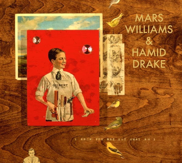 I know You Are But What Am I? (Mars Archive #1) |
