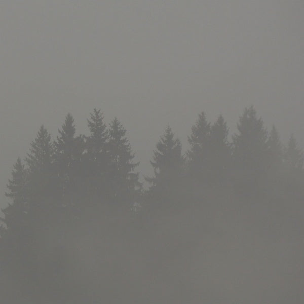 Donnerwetter |