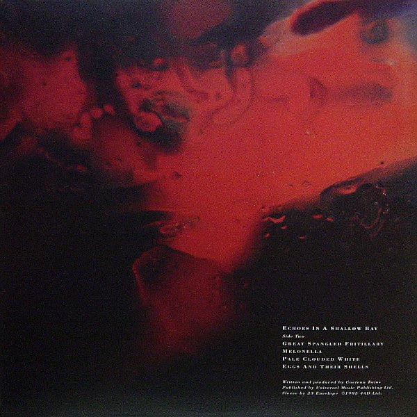 Tiny Dynamine / Echoes In A Shallow Bay | Mint (M) Mint (M)