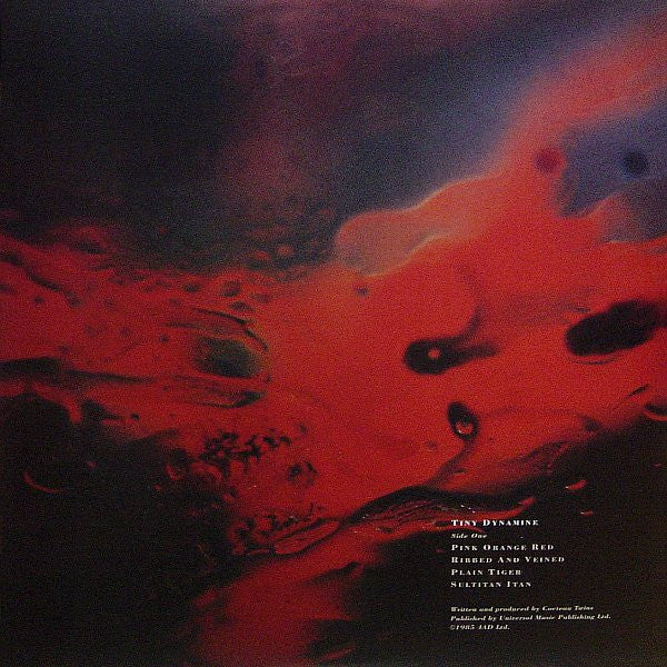 Tiny Dynamine / Echoes In A Shallow Bay | Mint (M) Mint (M)