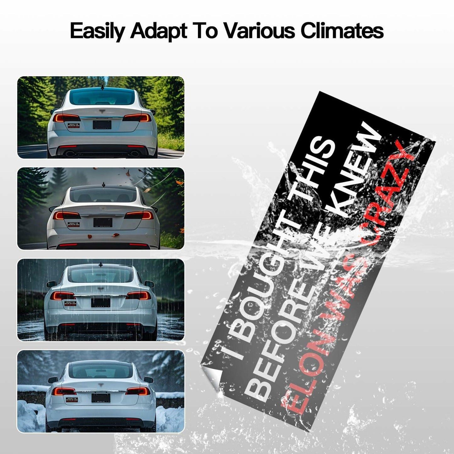 Funny Car Bumper Sticker 7.5x3 in Black 2 Pack – Humor Auto Decal Set