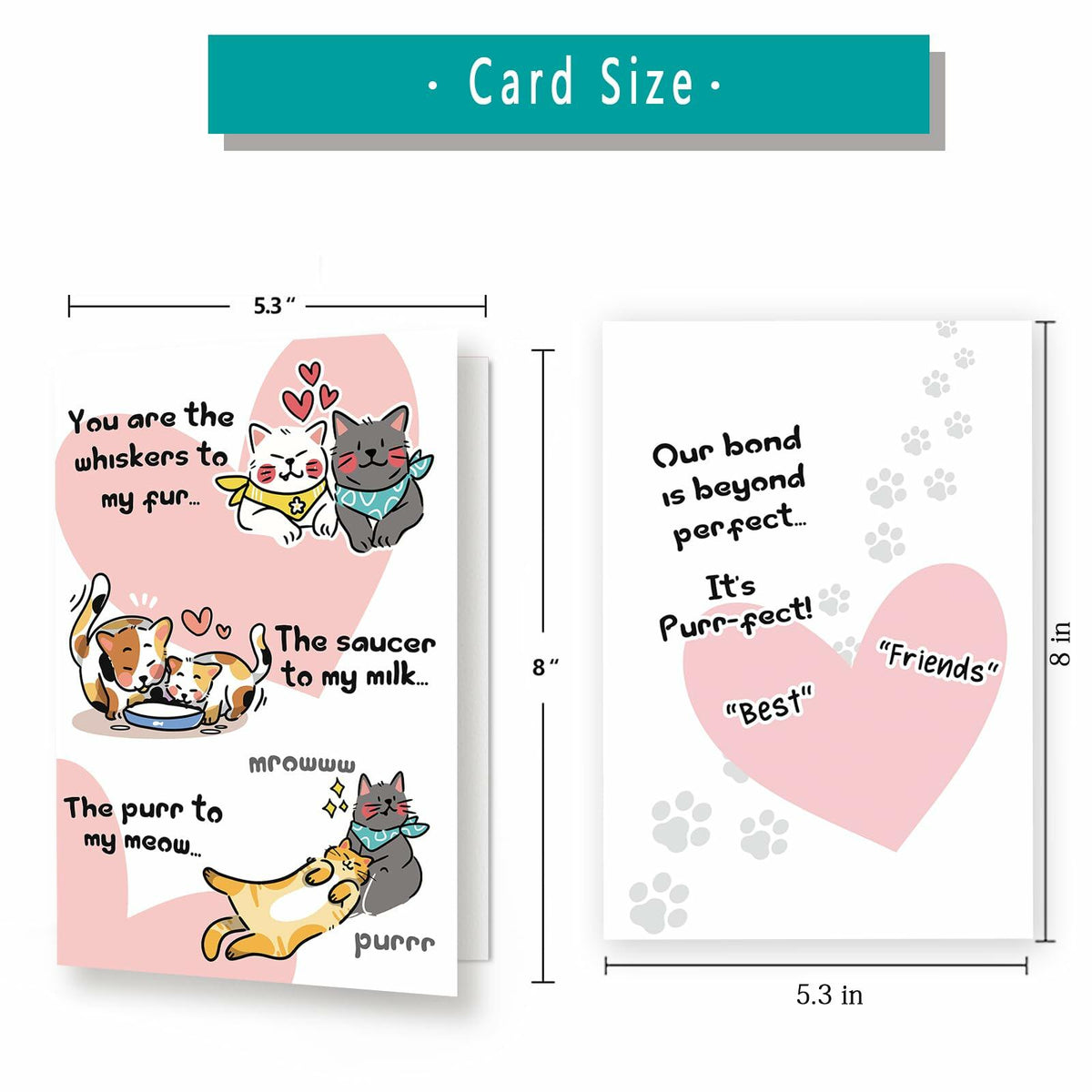 Funny Birthday Card for Best Friend BFF Friendship Card Gift for Him Her