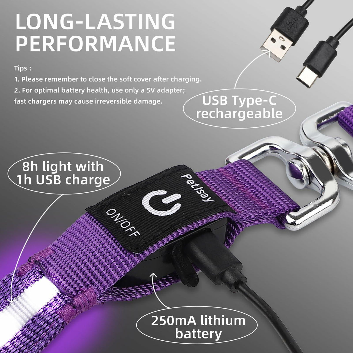 PetIsay Light-Up Dog Leash 6FT USB-C Rechargeable Waterproof White