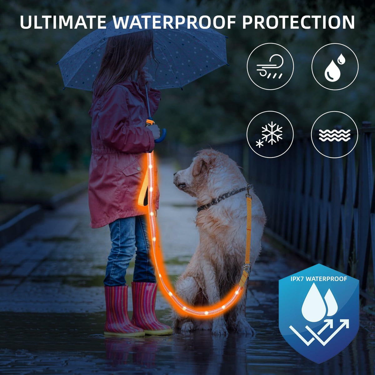 PetIsay Light-Up Dog Leash 6FT USB-C Rechargeable Waterproof White