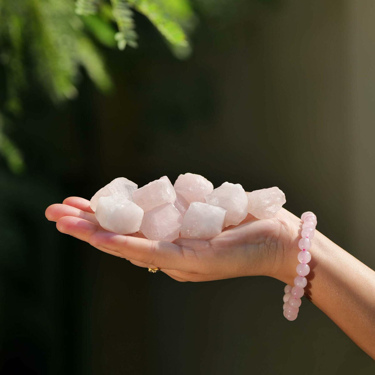 Rose Quartz Raw Healing Stones 1/2lb Pink Rough Crystals Bulk