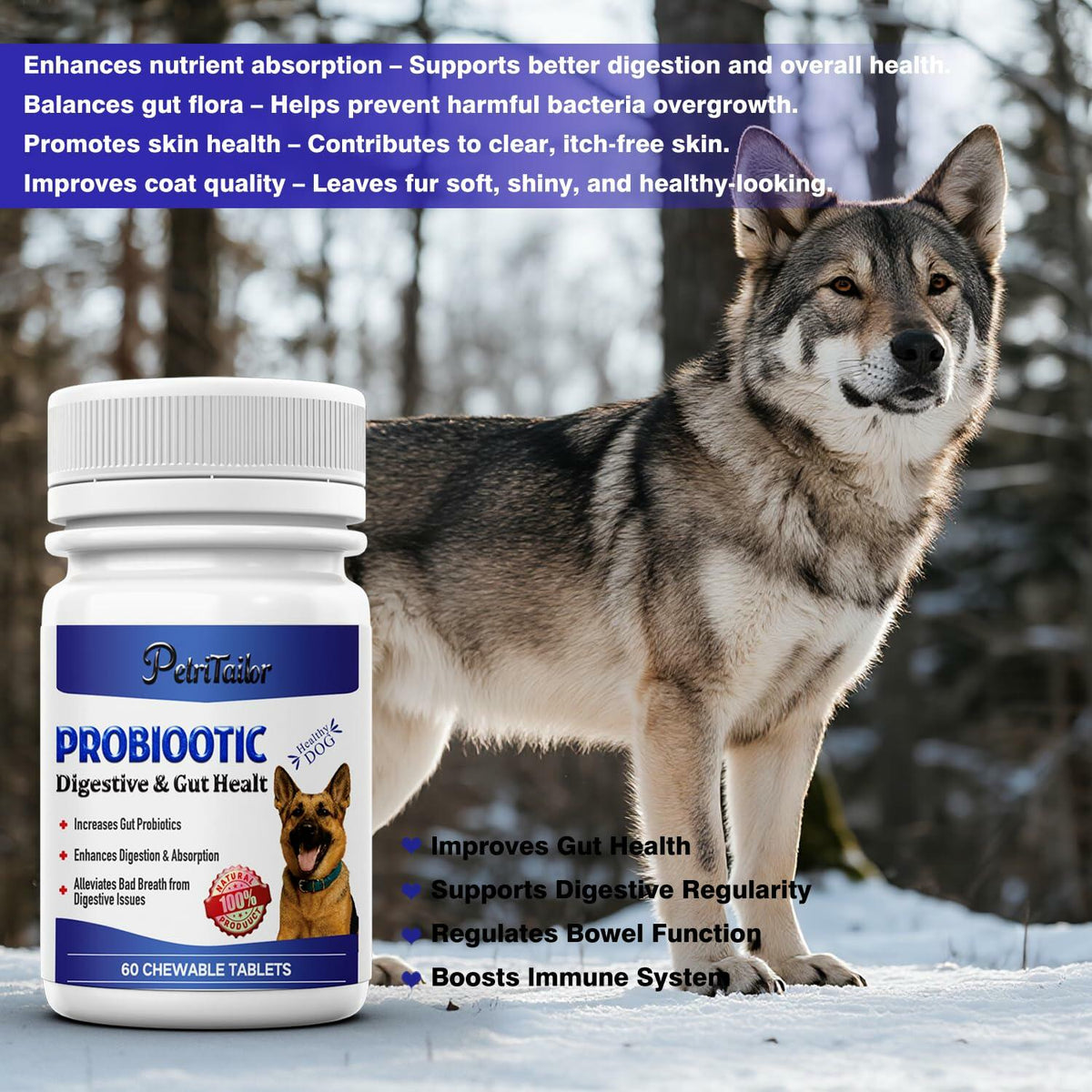 PetriTailor Probiotics Supplement for Dogs Digestive Enzymes Prebiotics