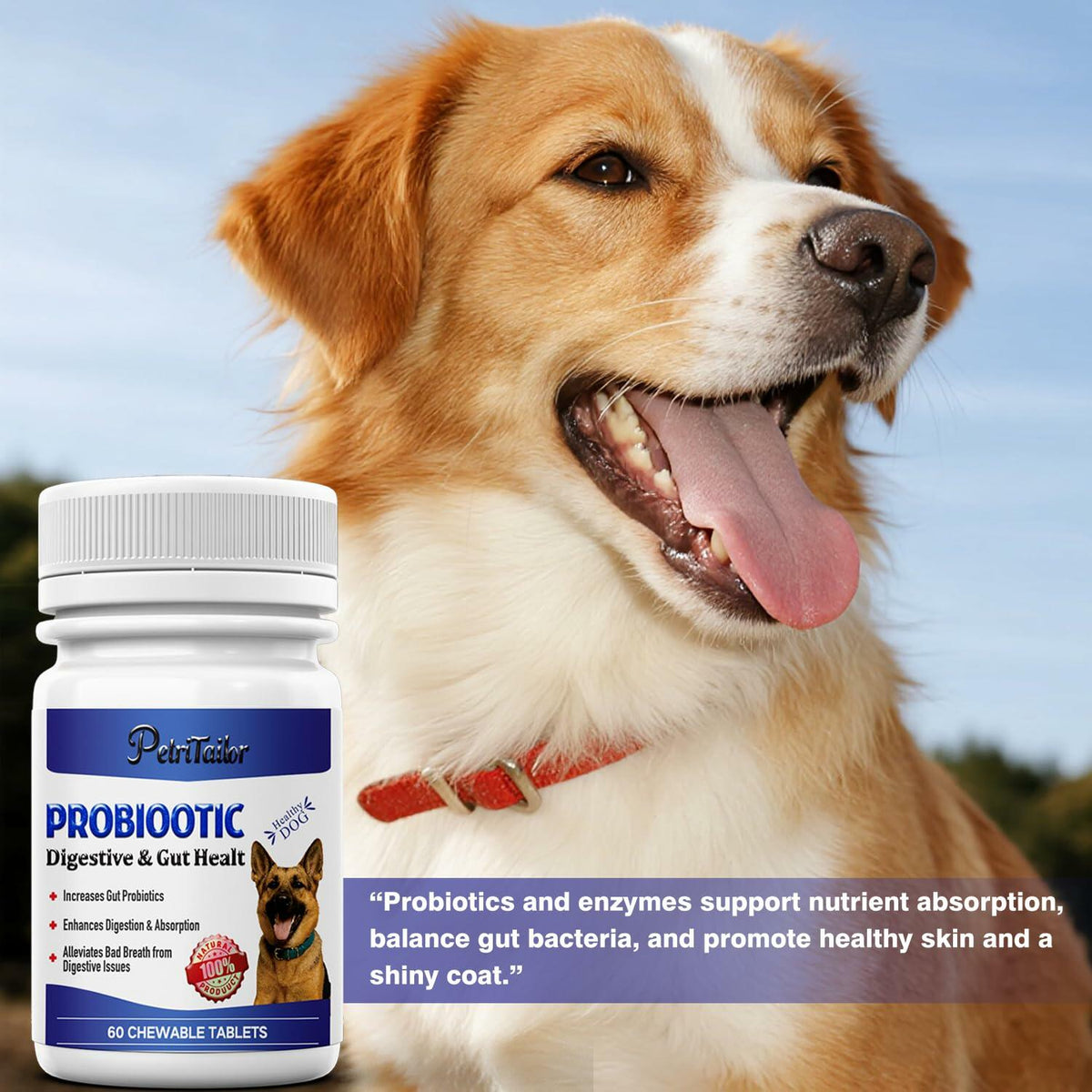 PetriTailor Probiotics Supplement for Dogs Digestive Enzymes Prebiotics