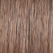 Raquel Welch On In 10! Wig, RL12/16 Honey Toast