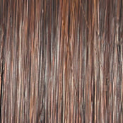 Untold Story - Wig by Raquel Welch