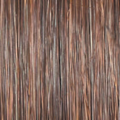 Untold Story - Wig by Raquel Welch