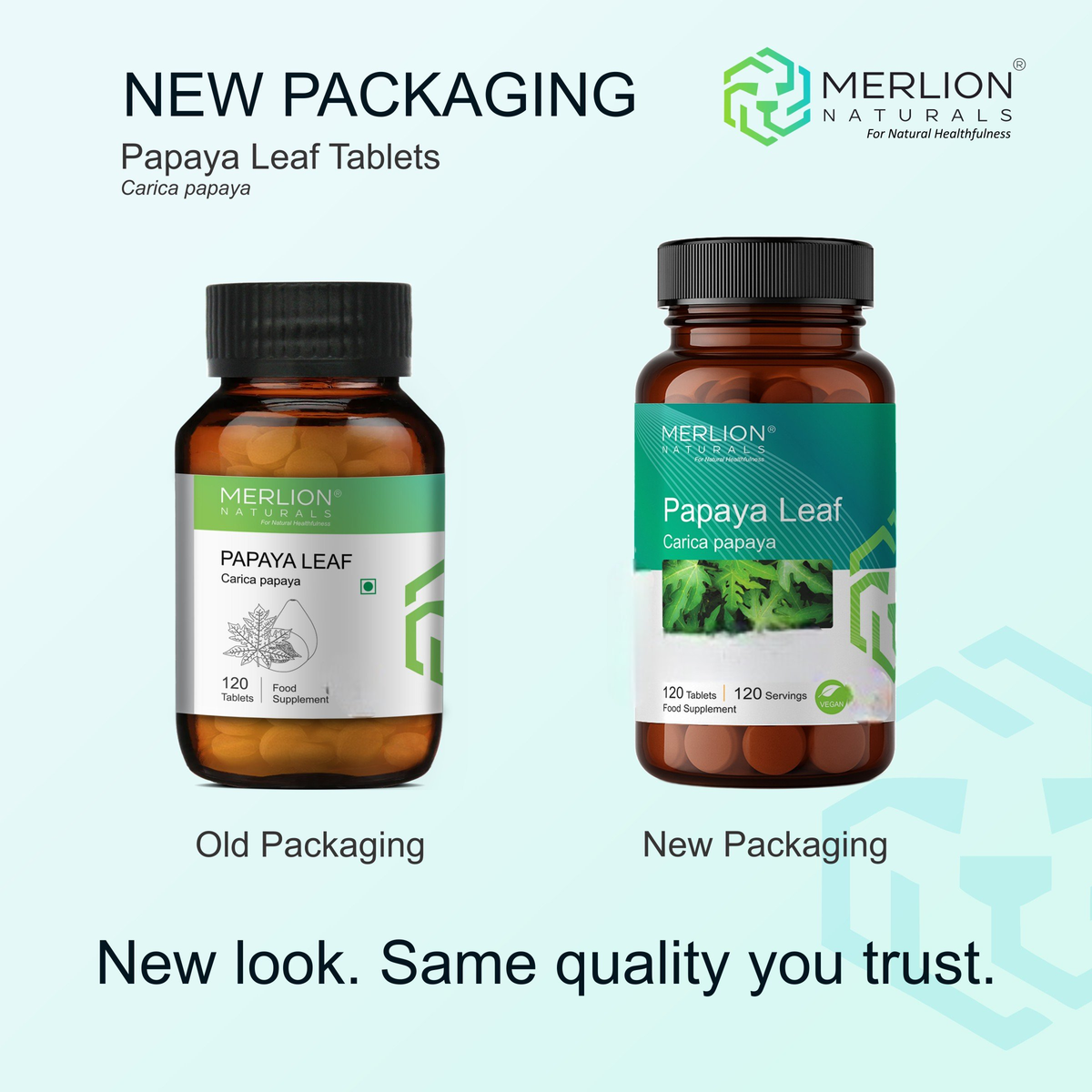 Merlion Naturals Papaya Leaf 500mg Tablets