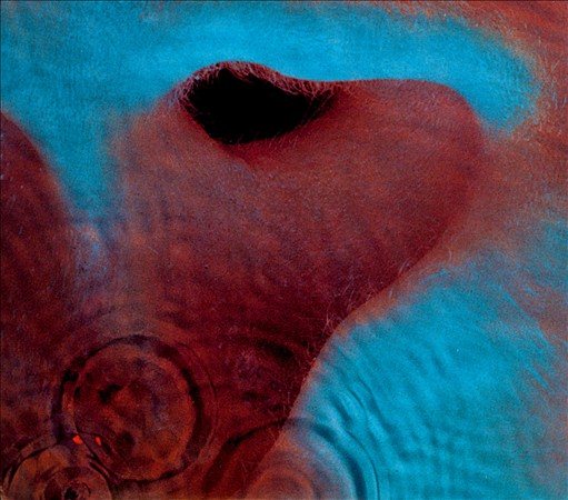 Meddle (VINYL) | Mint (M) Mint (M)