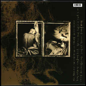Come On Pilgrim (180 GRAM VINYL) | Mint (M) Mint (M)