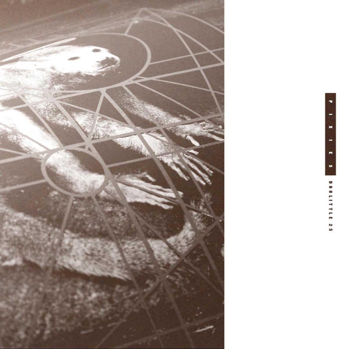 Doolittle 25: B-Sides Peel Sessions & Demos (3CD) | Mint (M) Mint (M)