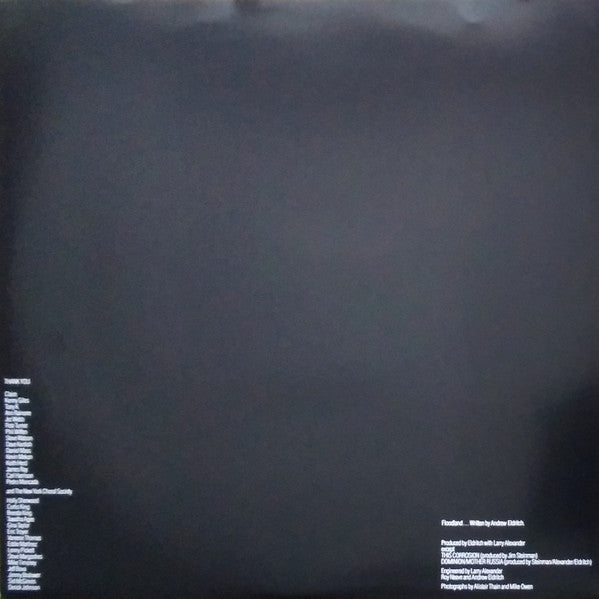 Floodland (COLOR VINYL) | Mint (M) Mint (M)