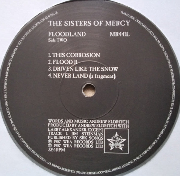 Floodland (COLOR VINYL) | Mint (M) Mint (M)