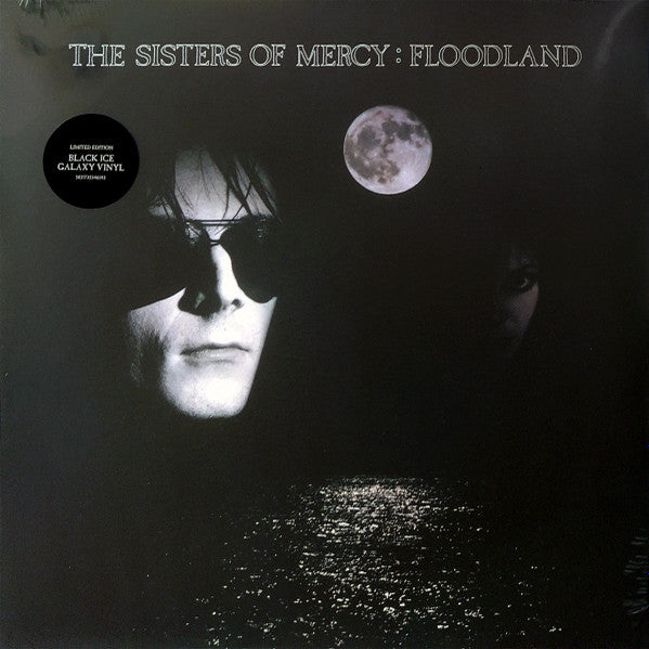 Floodland (COLOR VINYL) | Mint (M) Mint (M)