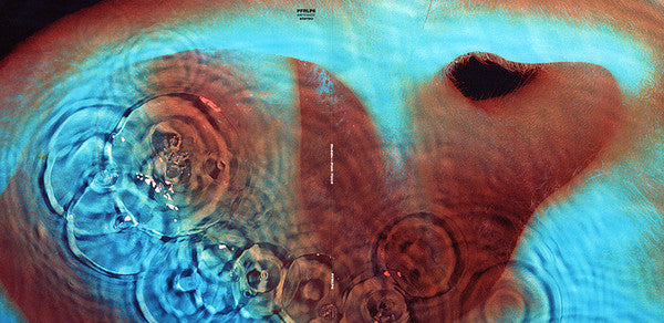 Meddle (VINYL) | Mint (M) Mint (M)