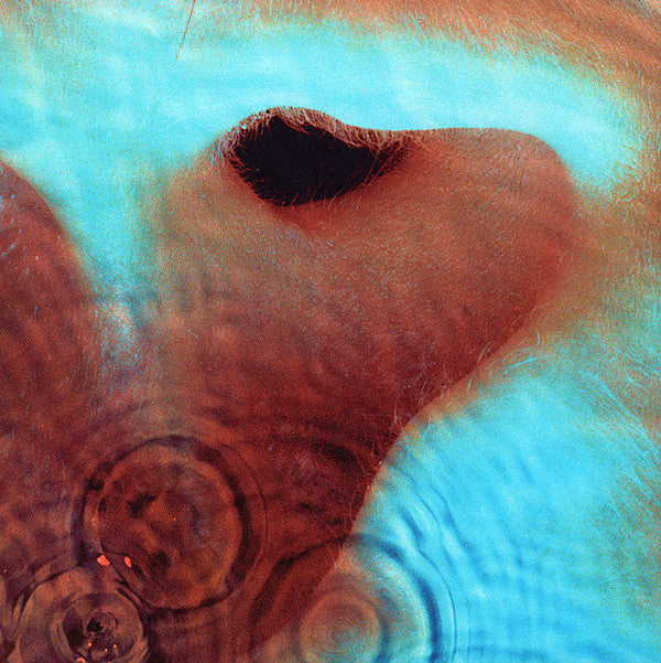 Meddle (VINYL) | Mint (M) Mint (M)