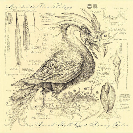 Accidental Ornithology |