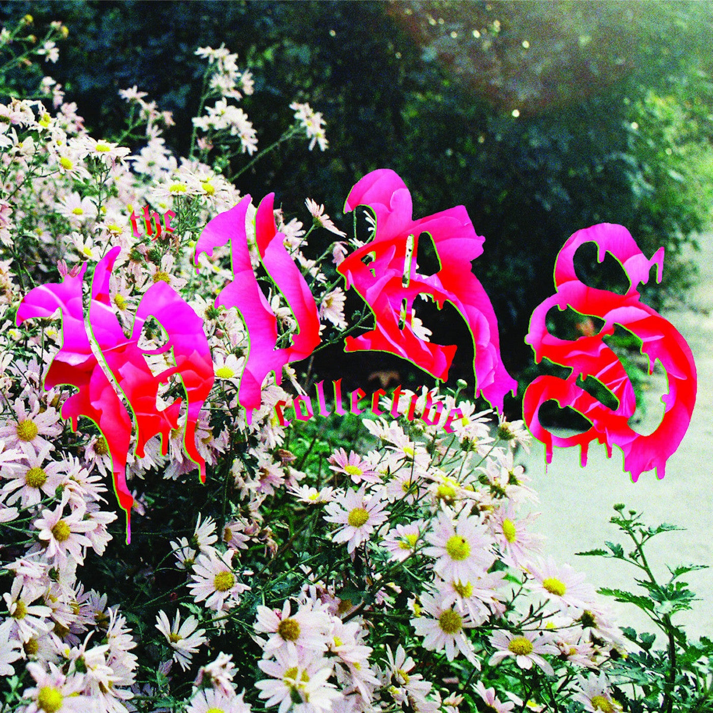 We'Re Still Here (White VINYL) | Mint (M) Mint (M)