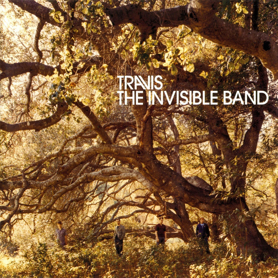 The Invisible Band (20th Anniversary) [LP] | Mint (M) Mint (M)