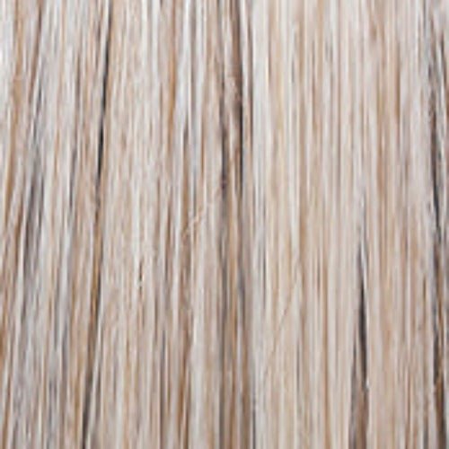 WELL PLAYED - Wig by Raquel Welch