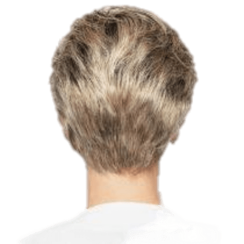 WINNER ELITE - Wig by Raquel Welch