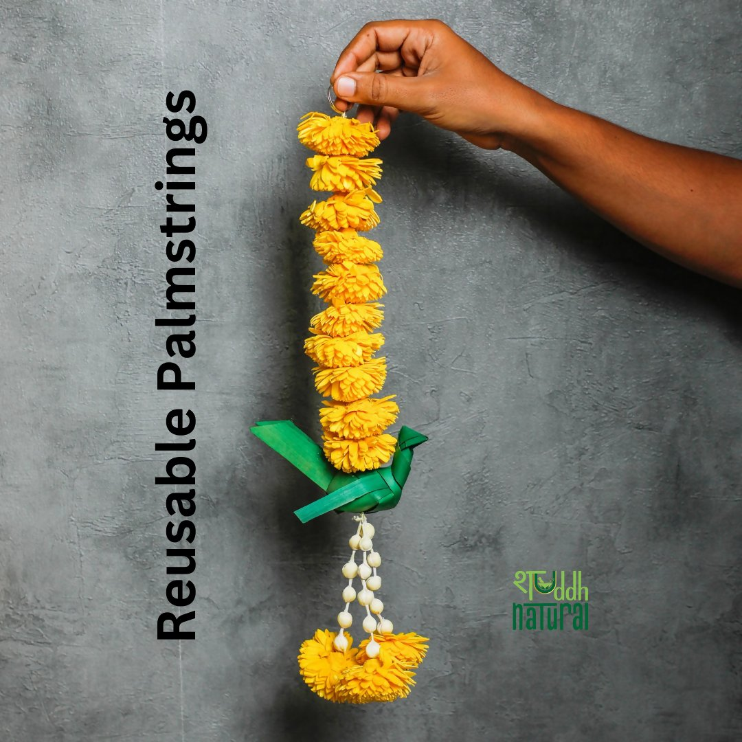 Shuddh Natural Hand Made Palm Leaf Parrot Hanging